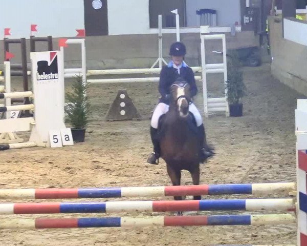 Reitturnier Vlotho-Valdorf 2018