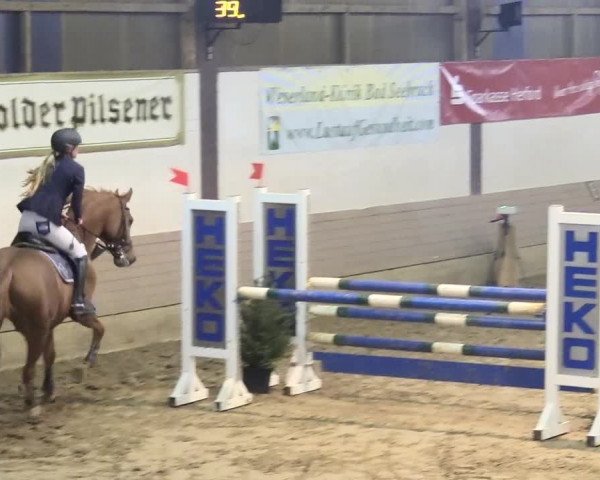 Reitturnier Vlotho-Valdorf 2018
