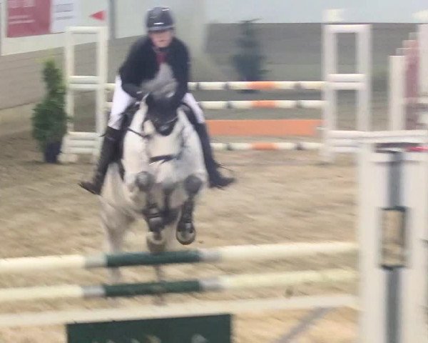 Reitturnier Vlotho-Valdorf 2018