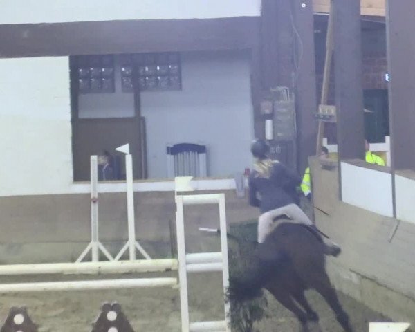 Reitturnier Vlotho-Valdorf 2018