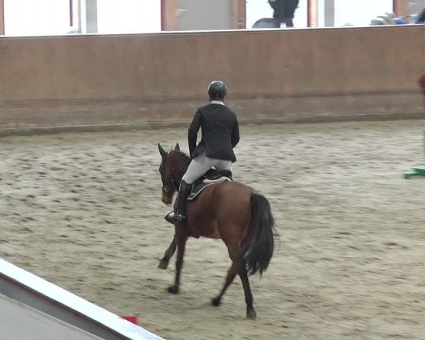 Reitturnier Prussendorf 2018
