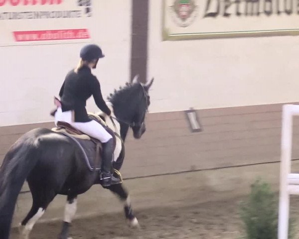 Reitturnier Vlotho-Valdorf 2018