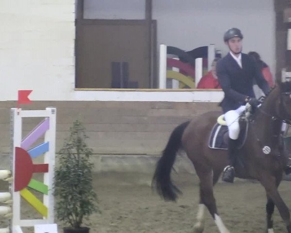 Reitturnier Vlotho-Valdorf 2018
