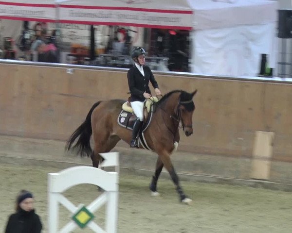 Reitturnier Prussendorf 2018