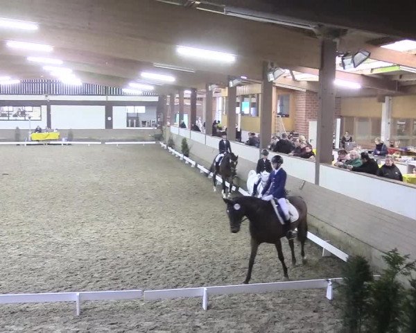 Reitturnier Vlotho-Valdorf 2018