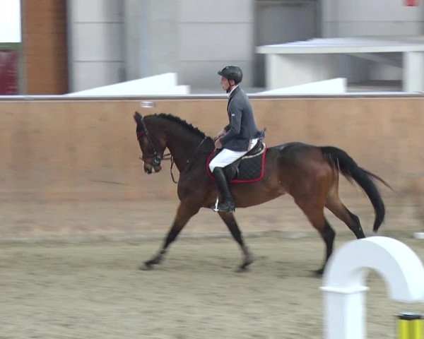 Reitturnier Prussendorf 2018