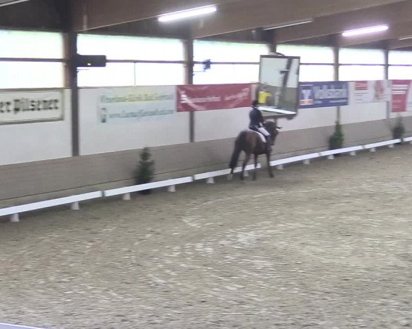 Reitturnier Vlotho-Valdorf 2018