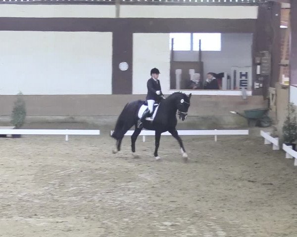 Reitturnier Vlotho-Valdorf 2018