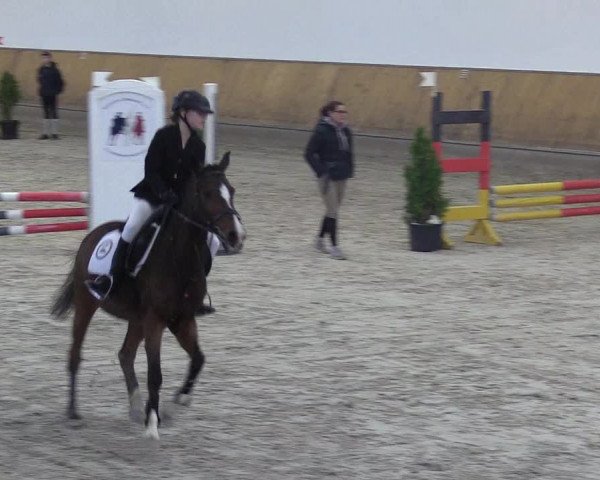 Reitturnier Freudenberg 2018