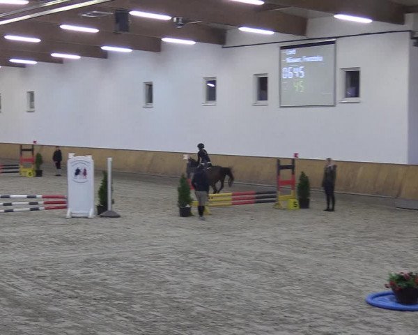 Reitturnier Freudenberg 2018