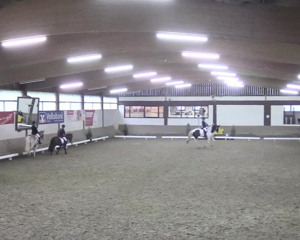 Reitturnier Vlotho-Valdorf 2018