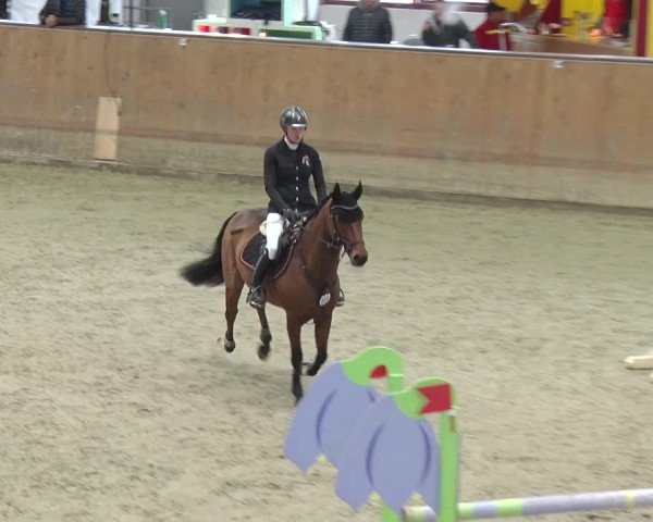 Reitturnier Prussendorf 2018