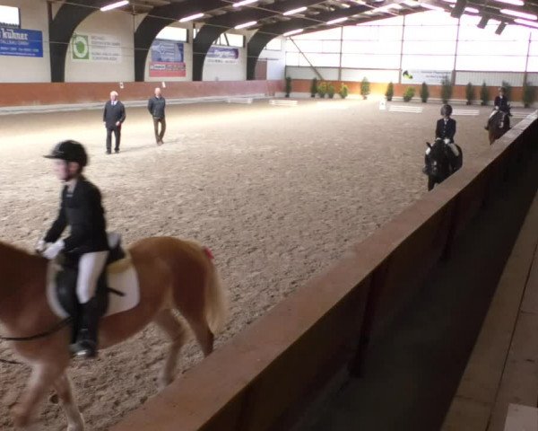 Reitturnier Viernheim 2018