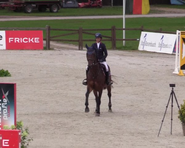 Reitturnier Westergellersen 2021