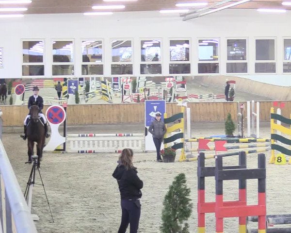 Reitturnier Freudenberg 2018