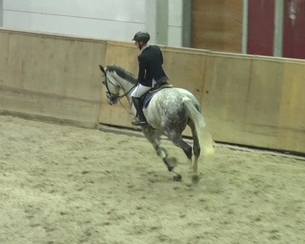 Reitturnier Prussendorf 2018