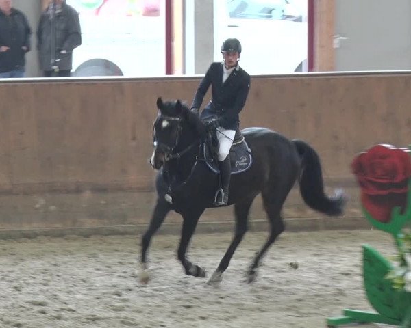 Reitturnier Prussendorf 2018