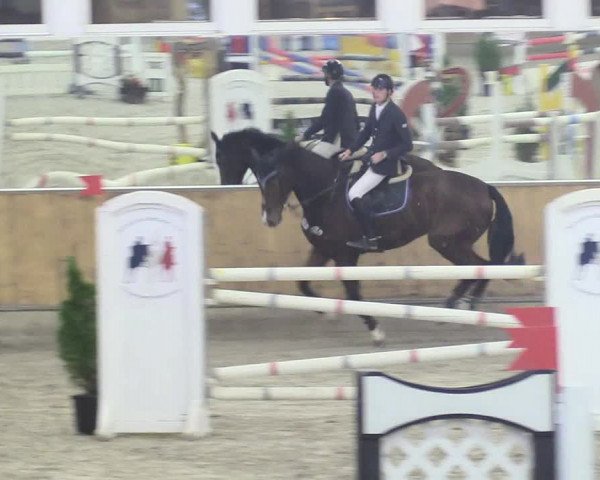 Reitturnier Freudenberg 2018