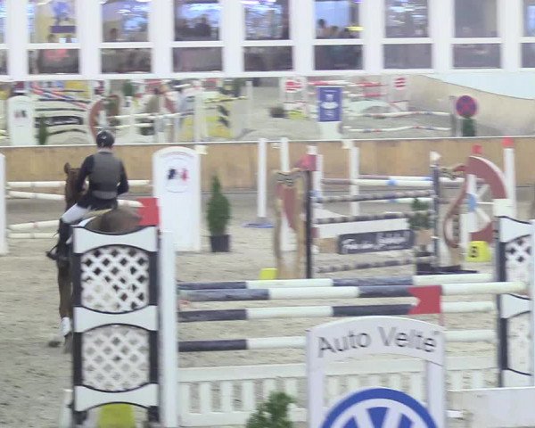 Reitturnier Freudenberg 2018