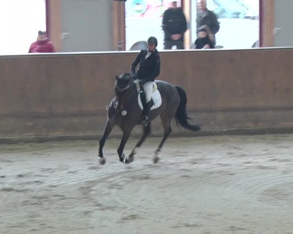 Reitturnier Prussendorf 2018