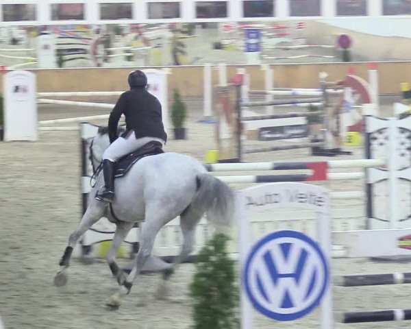 Reitturnier Freudenberg 2018