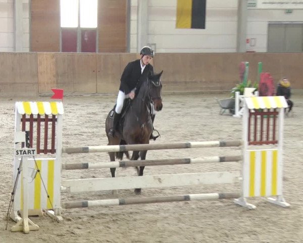 Reitturnier Prussendorf 2018