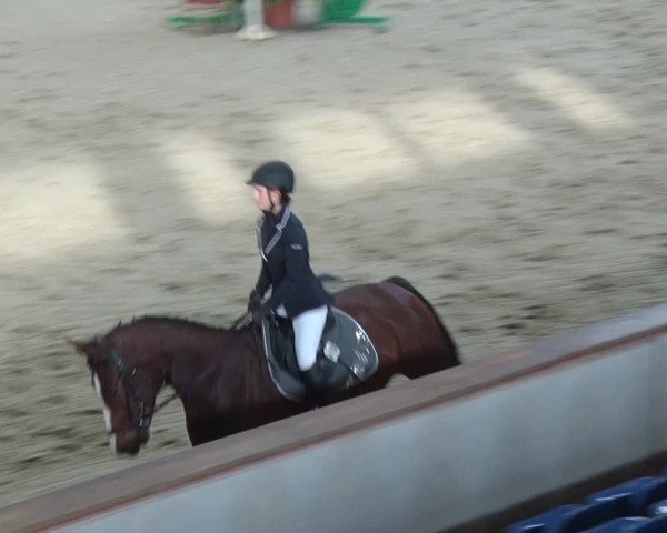 Reitturnier Prussendorf 2018