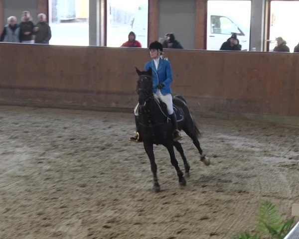Reitturnier Prussendorf 2018