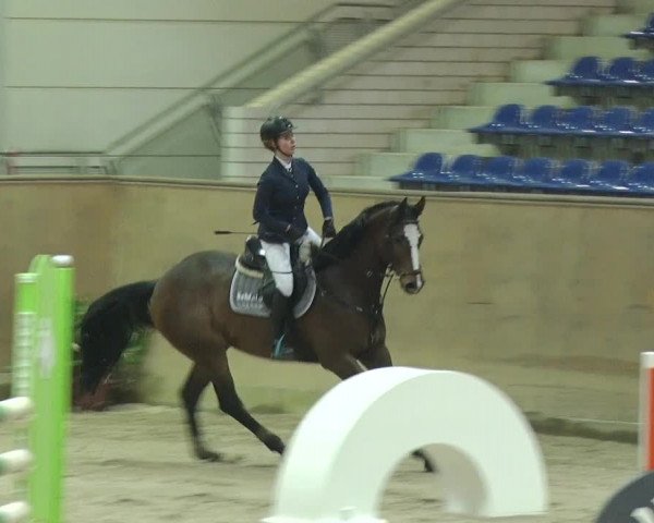 Reitturnier Prussendorf 2018