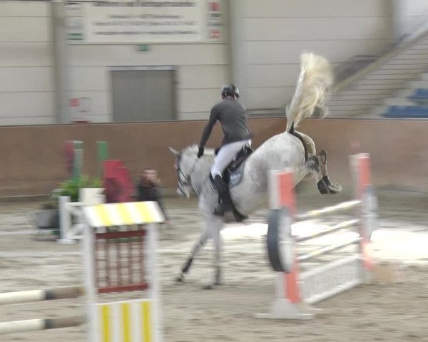 Reitturnier Prussendorf 2018