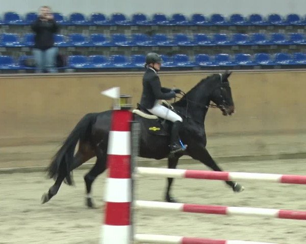 Reitturnier Prussendorf 2018