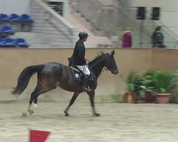 Reitturnier Prussendorf 2018
