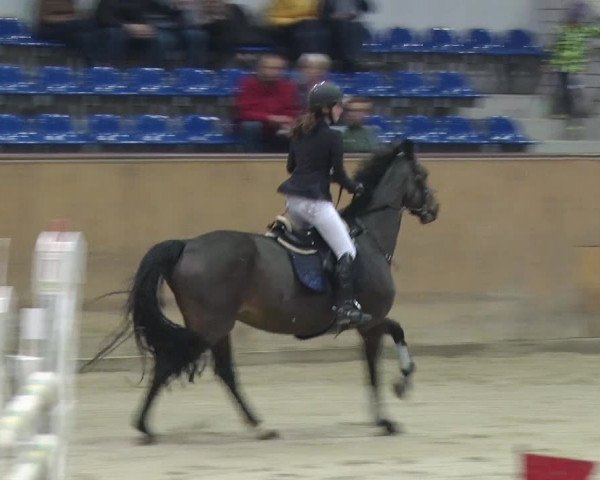 Reitturnier Prussendorf 2018