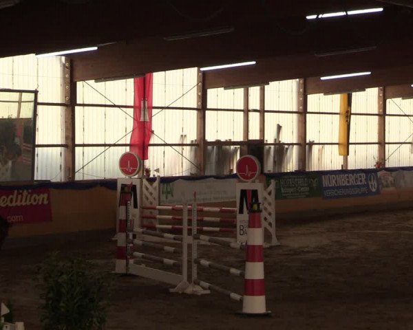 Reitturnier Pausin 2018