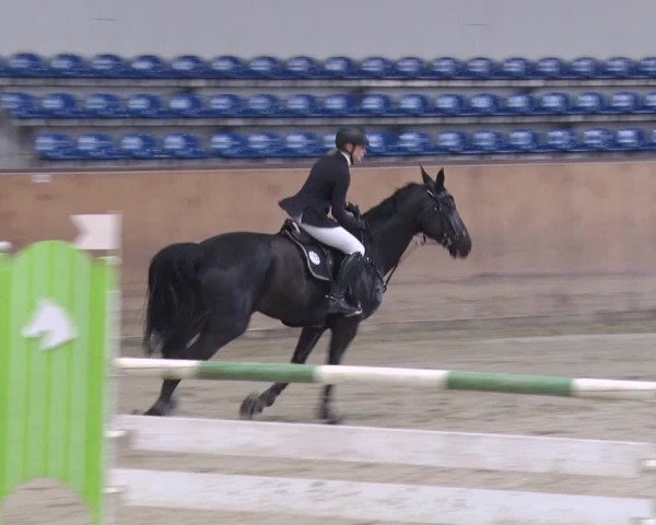 Reitturnier Prussendorf 2018