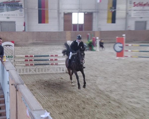 Equestrian Show Prussendorf 2018