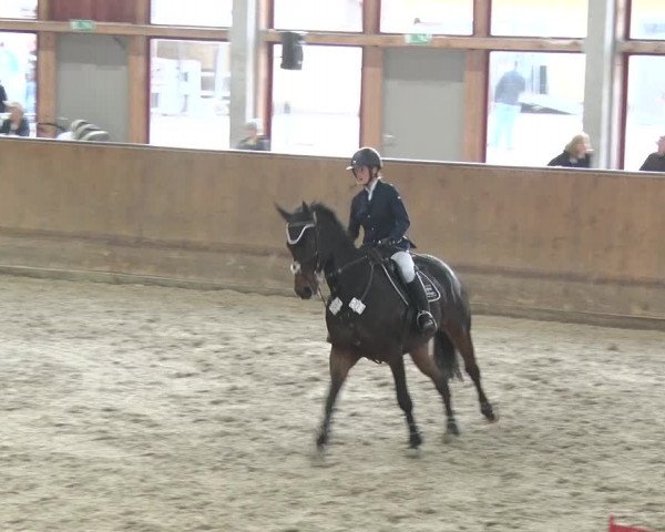 Reitturnier Prussendorf 2018