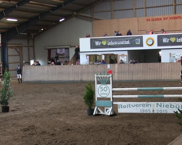 Reitturnier Niebüll 2018