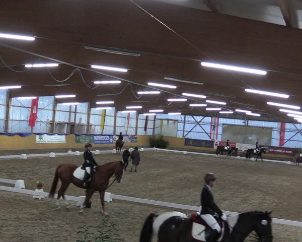 Reitturnier Pausin 2018