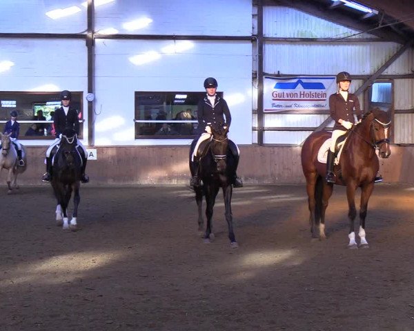 Reitturnier Kellinghusen 2018