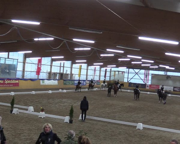Reitturnier Pausin 2018