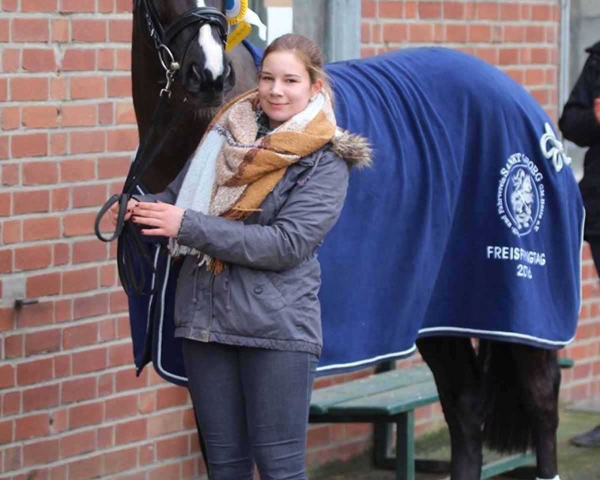 horse Gem's Esperanza KW (Hanoverian, 2013, from Gem of India)