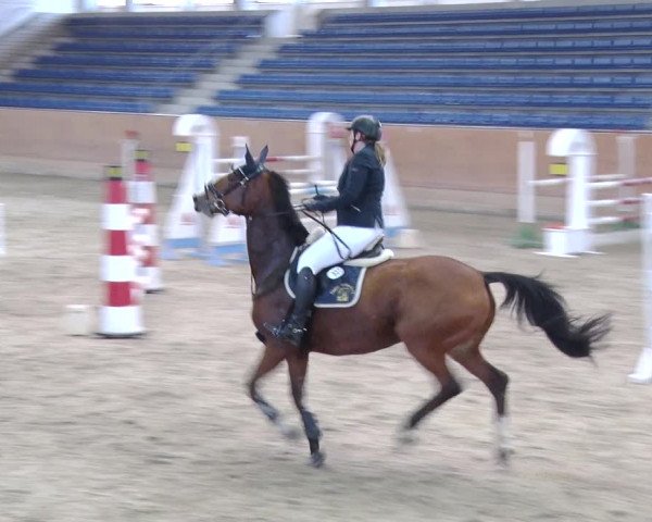 Reitturnier Prussendorf 2018