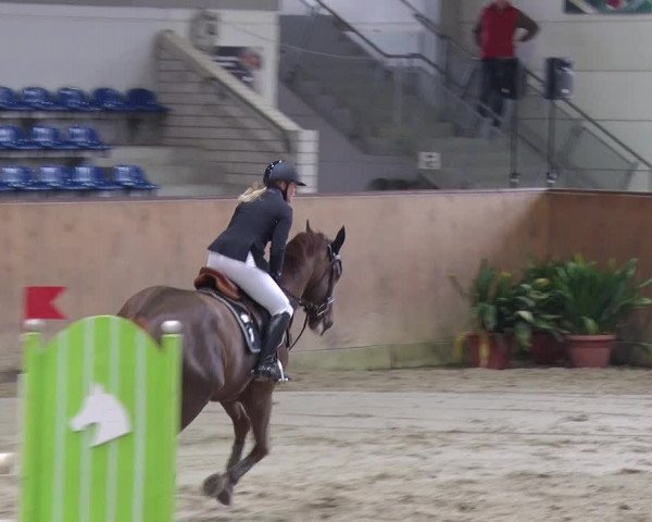 Reitturnier Prussendorf 2018