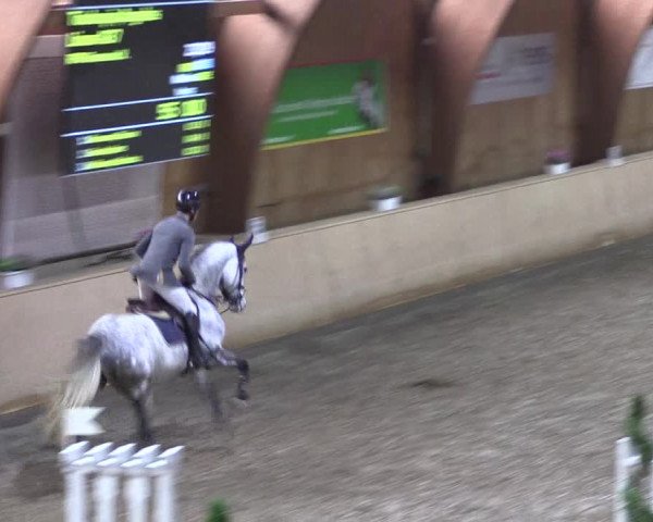 Reitturnier Hövelhof 2018