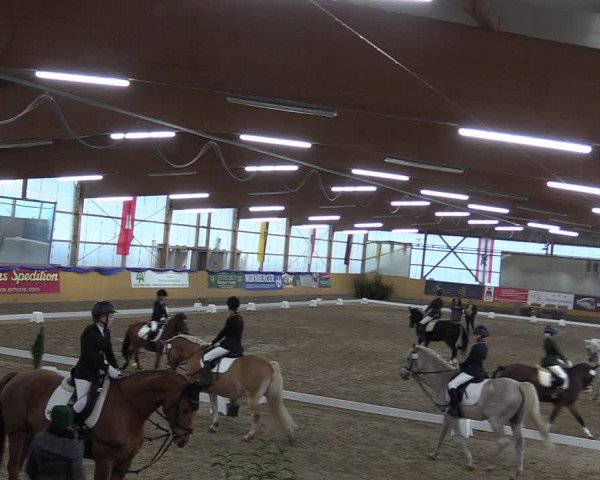 Reitturnier Pausin 2018