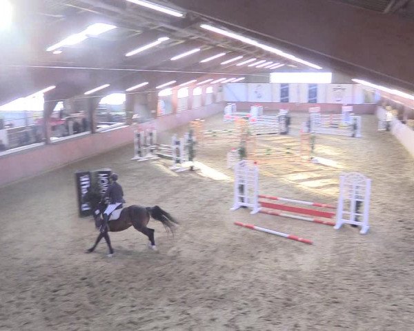 Reitturnier Bad Salzuflen 2018