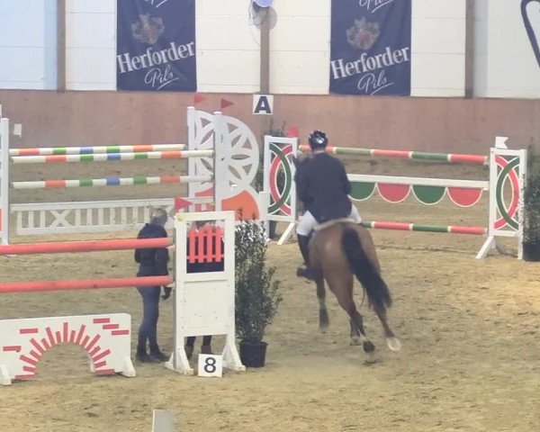 Reitturnier Bad Salzuflen 2018