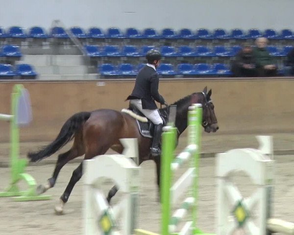 Reitturnier Prussendorf 2018