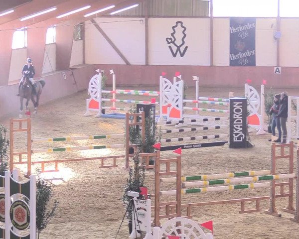 Reitturnier Bad Salzuflen 2018